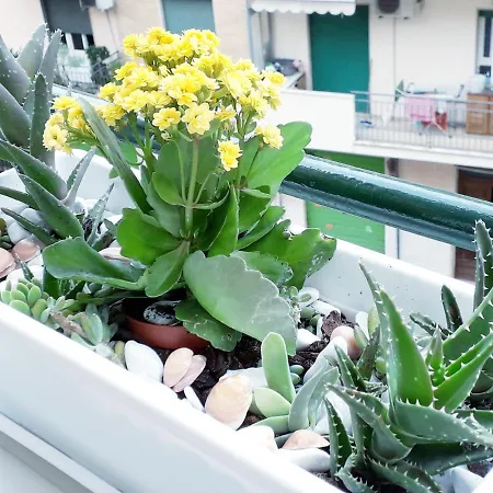 Bed & Breakfast Insula Cagliari