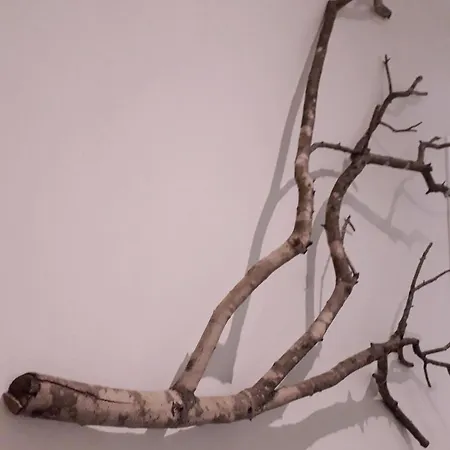 Insula Bed & Breakfast 3*