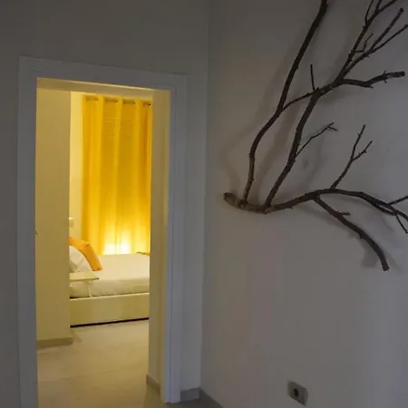 Insula