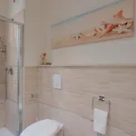 Insula
