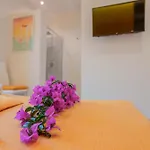 Insula