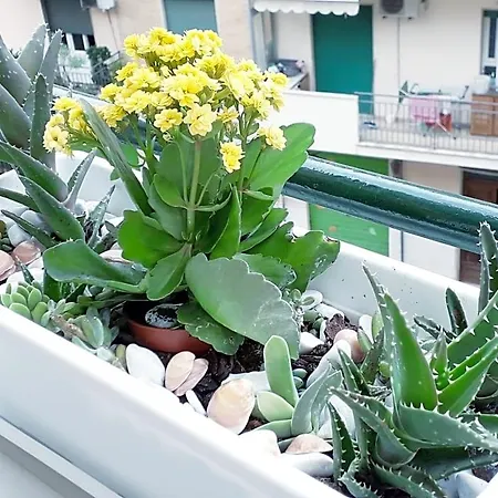 Bed & Breakfast Insula Cagliari