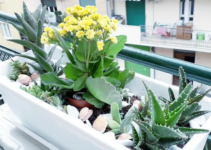 Panzió Insula Cagliari